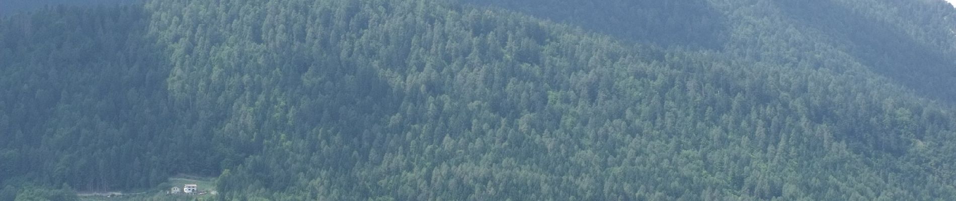 Tocht Te voet Grigno - Sentiero del Passetto - Photo