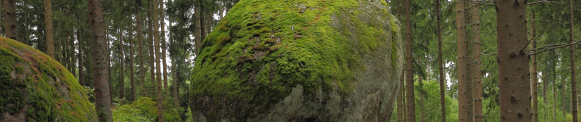 Excursión A pie Gemeinde Groß Gerungs - Weltkugel - Wanderweg 31 - Photo