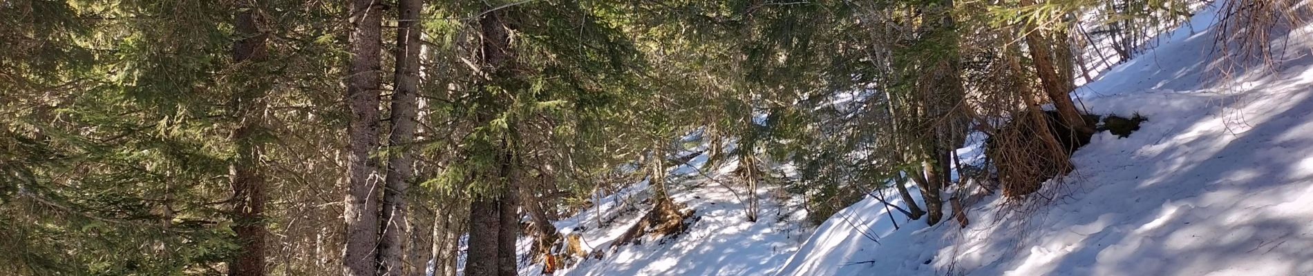 Tour Skiwanderen Bellevaux - Col des follys - Photo