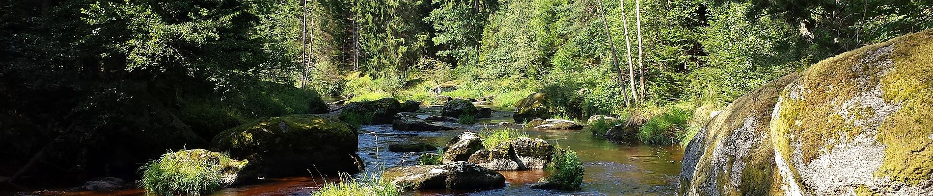 Tocht Te voet Gemeinde Großgöttfritz - Riesensteig - Photo