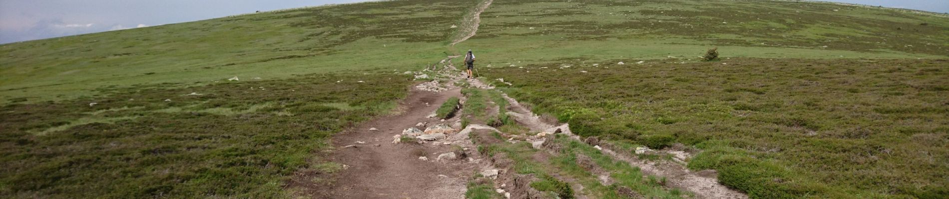 Trail Walking Mont Lozère et Goulet - 210617 - Mont Lozère  - Photo