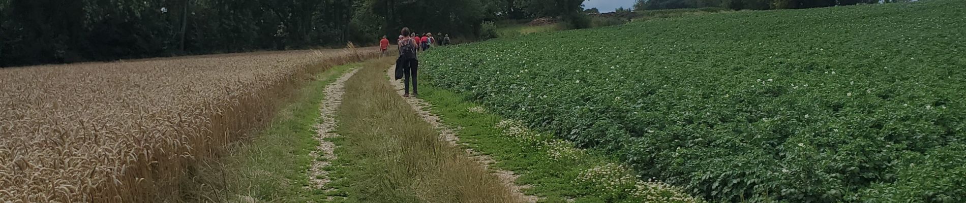 Randonnée Marche nordique Fourons - fourons-le-comte - Photo