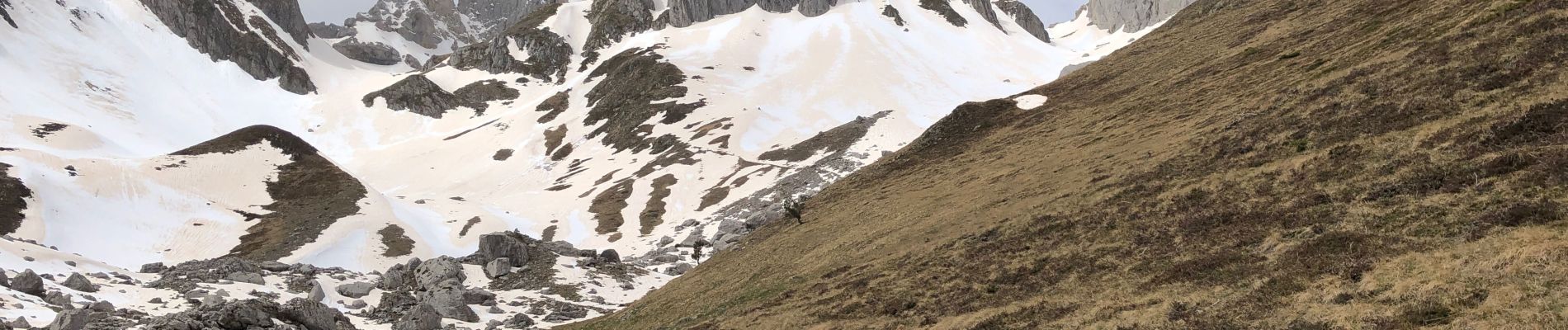 Randonnée Marche Lescun - Les un - Photo