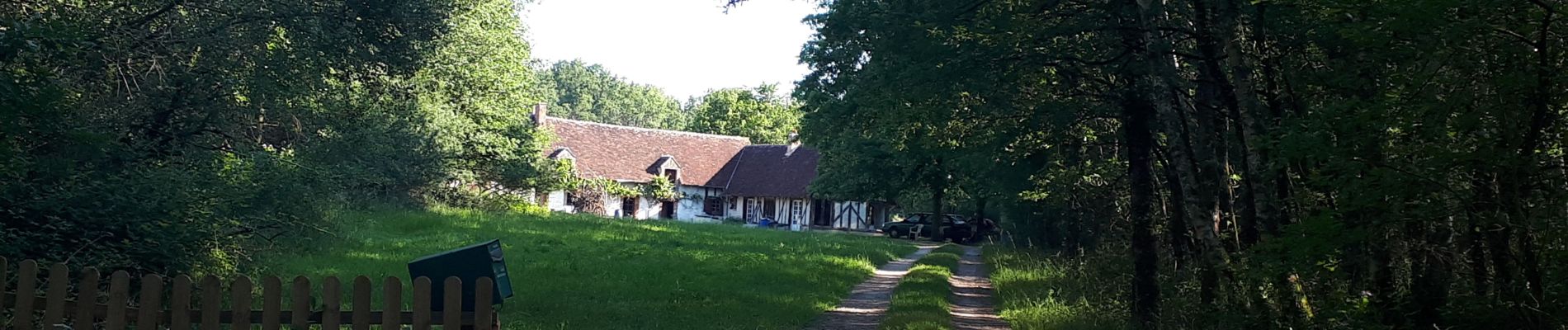 Tour Wandern Mur-de-Sologne - Mur de sologne 2020 - Photo