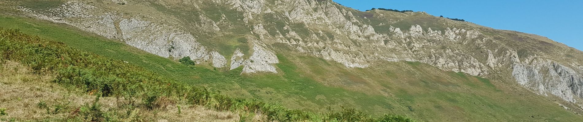 Randonnée Marche Arcizans-Dessus - cretes du soum de la pène - Photo