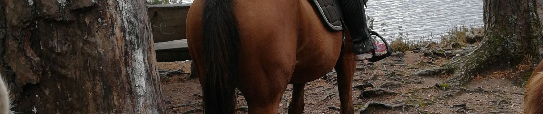 Randonnée Randonnée équestre Badonviller - badonviller avec les filles  - Photo