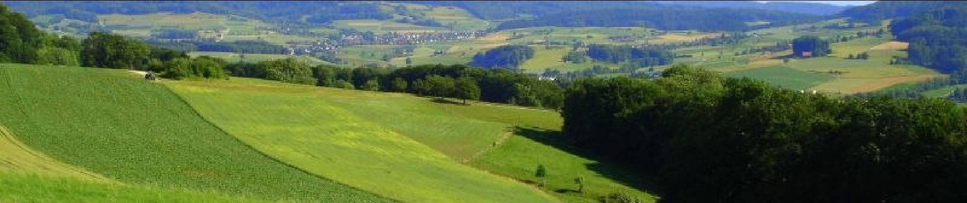 Excursión A pie Lengnau - Mühlibach - Althau - Photo