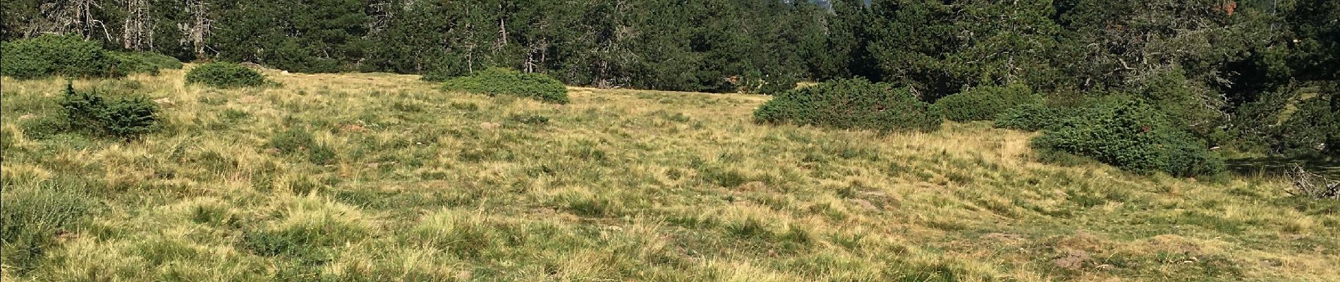 Excursión Senderismo Bolquère - Pla de Barrès - Photo