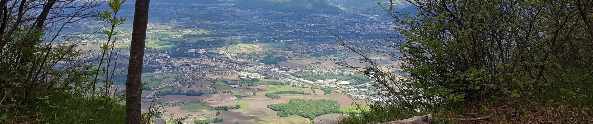 Tour Wandern Montaud - La Dent de Moirans - Photo