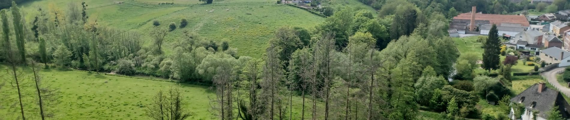 Randonnée Marche Beaumont - Tamalous 2023.05.18 - Photo