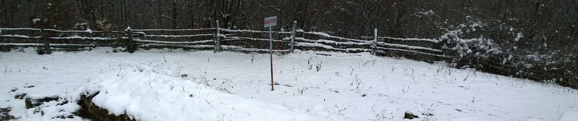 Tocht Te voet Onbekend - Costești - Vf. Porumbelu Mare - Vf. Godeanu - Photo