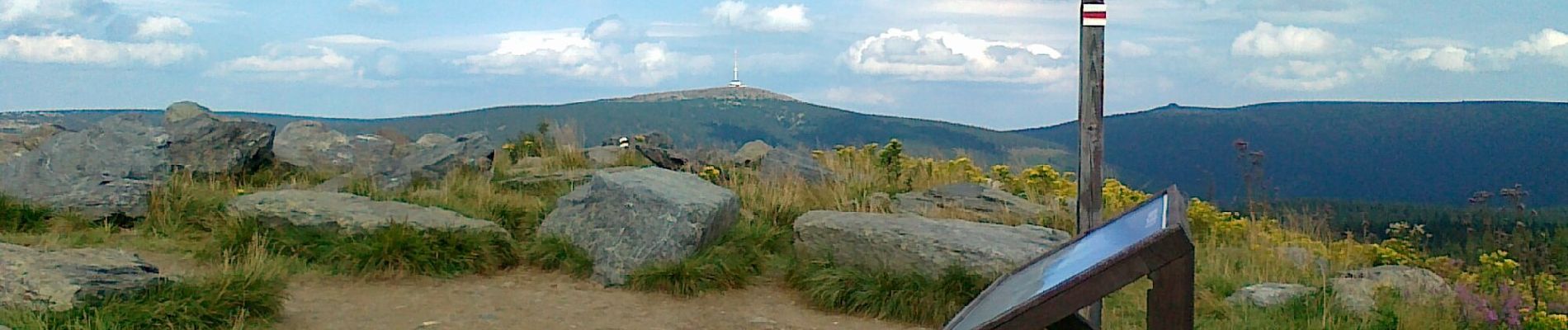 Tocht Te voet Vernířovice - Lesní ekostezka Švagrov - Photo