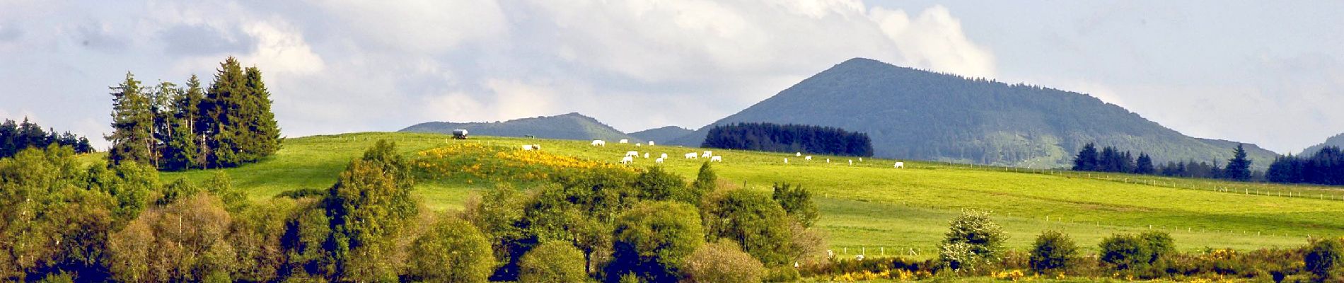 Tour Wandern Pulvérières - Pulverieres_Etang_Grand - Photo