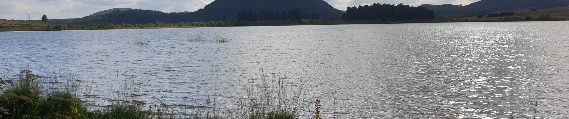 Tocht Stappen Besse-et-Saint-Anastaise - Lac Bourdouze_T - Photo