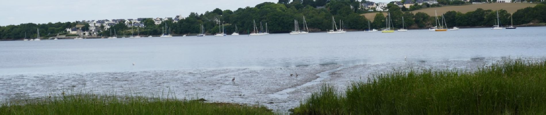 Point d'intérêt Kervignac - Vue sur St Guenael - Photo