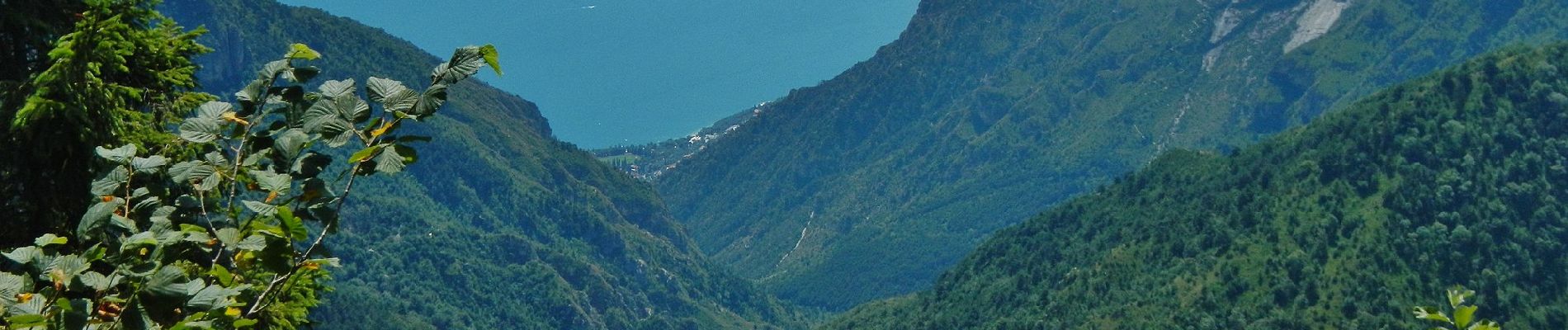 Tour Zu Fuß Limone sul Garda - Agostino Tosi - Photo