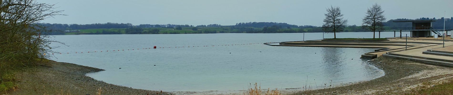 Trail Walking Froidchapelle - Balade au Lac de la Plate Taille - Photo