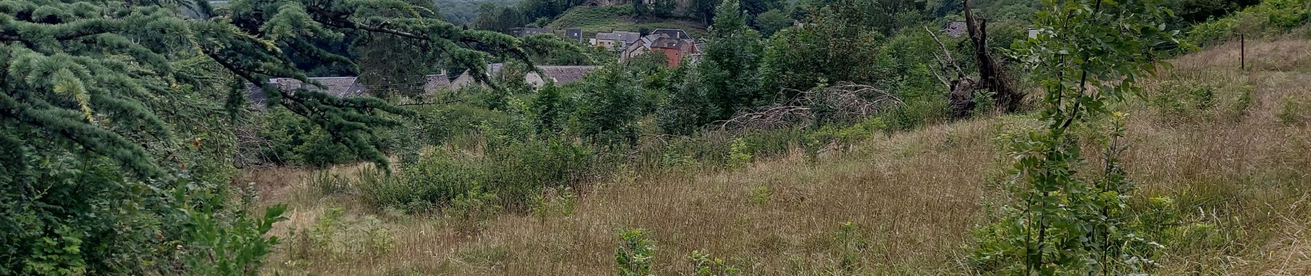 Tocht Stappen Hastière - AGIMON _ Marche Fédérale _ NA _ 05/08/2023 - Photo