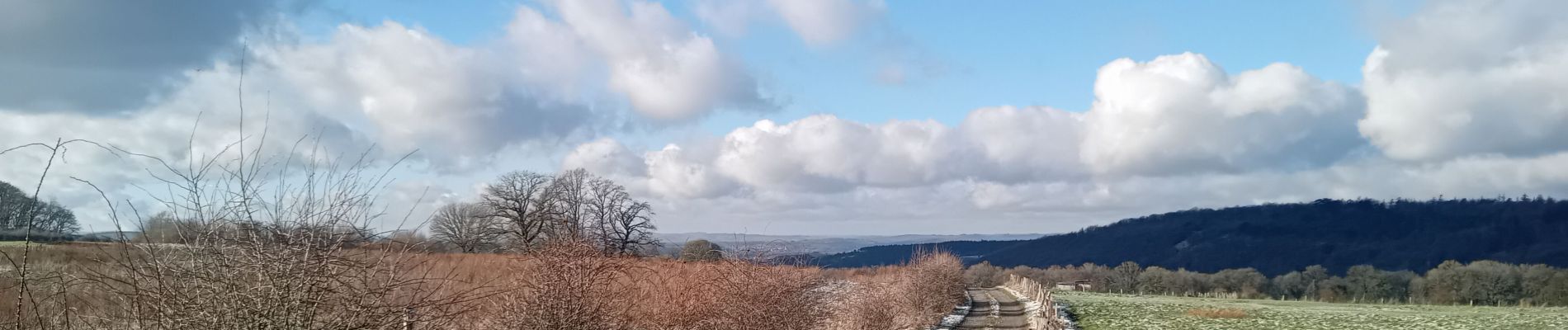 Tour Wandern Rochefort - wavreille - Photo