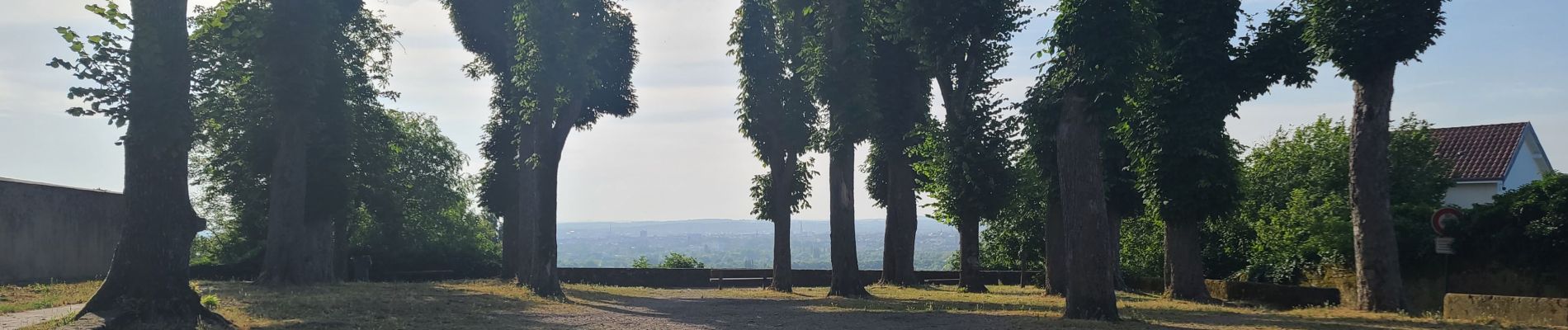 Tocht Wegfiets Saulny - szy - Photo