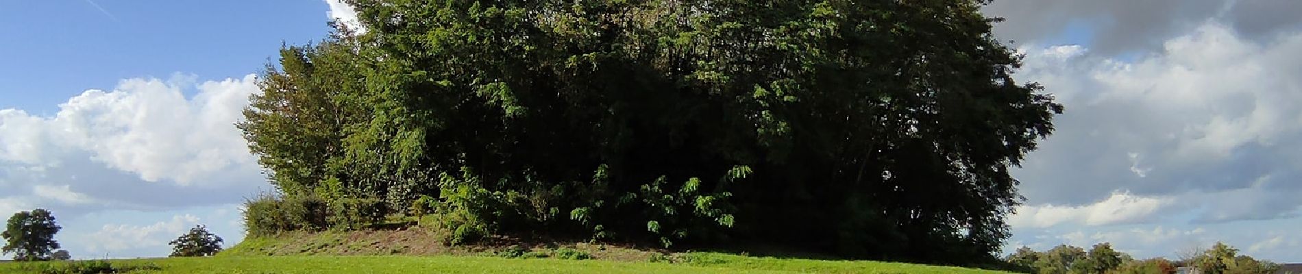 Percorso Marcia Incourt - Promenade du Tumulus (6,1km)  - Photo