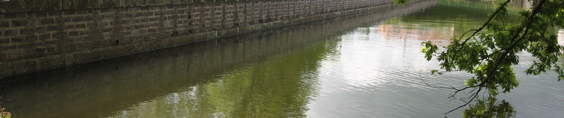 Tocht Te voet Joué-sur-Erdre - Lac de Vioreau - Photo