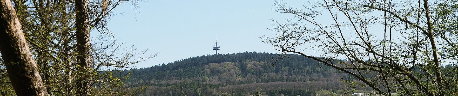 Tocht Te voet Taunusstein - Rundwanderweg Forelle - Photo