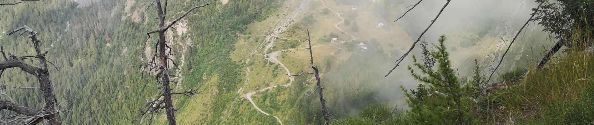 Percorso Camminata nordica Arbaz - les évouettes  - Photo