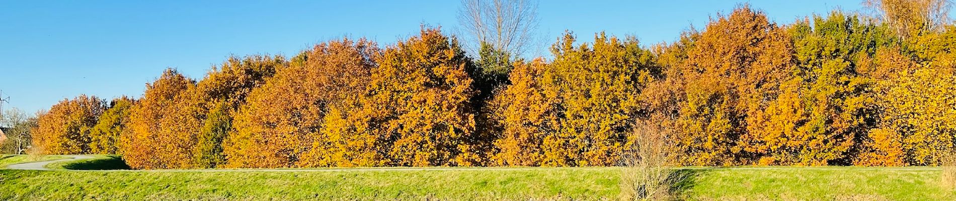 Trail Walking Mechelen - Groene Natuurpuntwandeling Barebeekvallei - Mechelen (Muizen) - Photo
