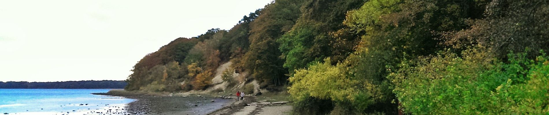 Percorso A piedi Unknown - Boserup Rundt 5 km - Photo