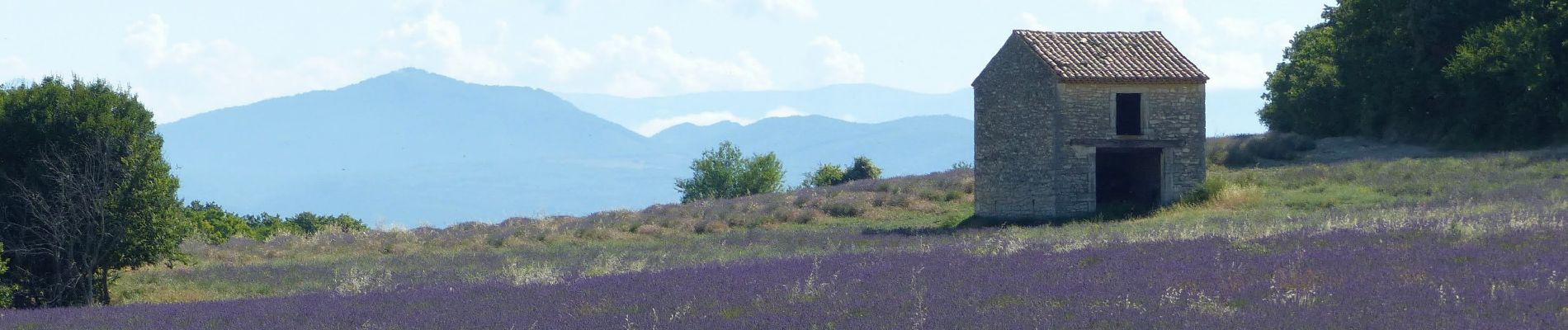 Randonnée Marche Chantemerle-lès-Grignan - Chantemerle Les crevasses 8km - Photo