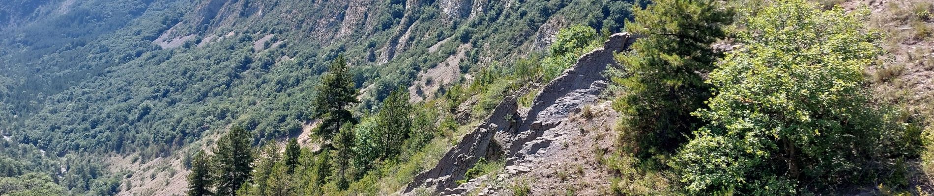 Excursión Marcha nórdica Digne-les-Bains - digne/andran/darau/dalle aux amonites - Photo