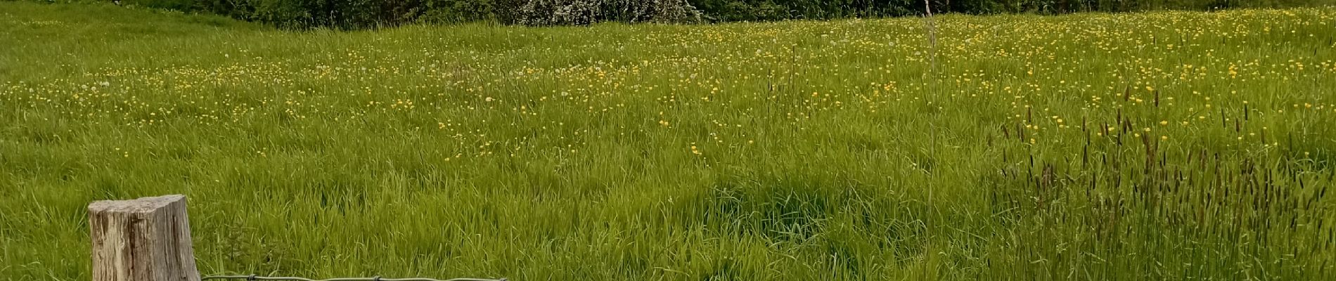 Tour Wandern Nandrin - Villers La Rochette Fonds d Oxhe - Photo