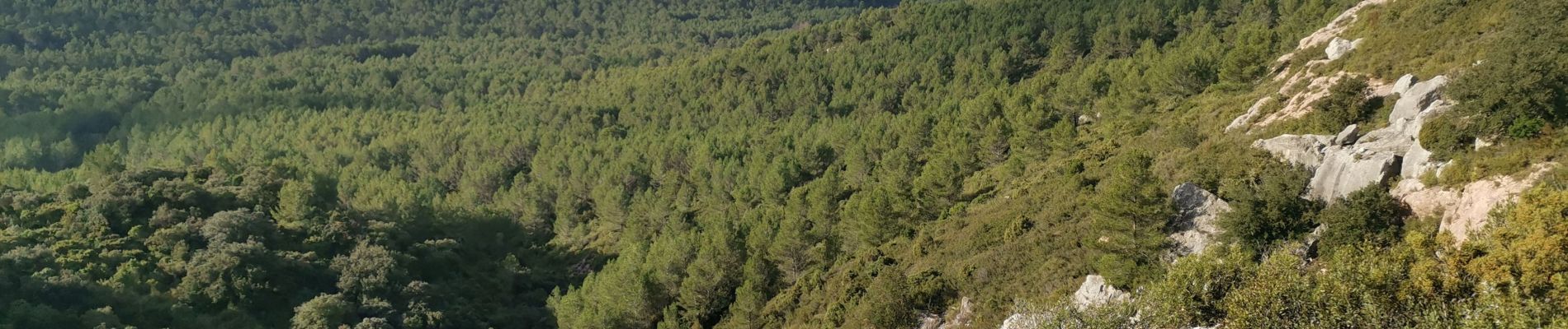 Percorso Marcia Thézan-des-Corbières - Cirque Viviès plateau Poursan - Photo