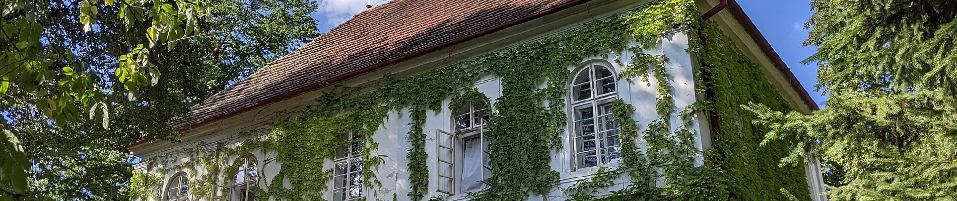 Tocht Te voet Běleč - NS Kolem hradu Šelmberk - Photo