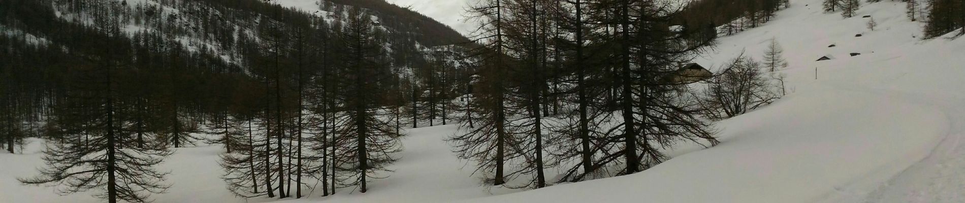 Excursión Raquetas de nieve Névache - Du gîte de Mélézets à Névache à l'auberge de la Fruitière - Photo