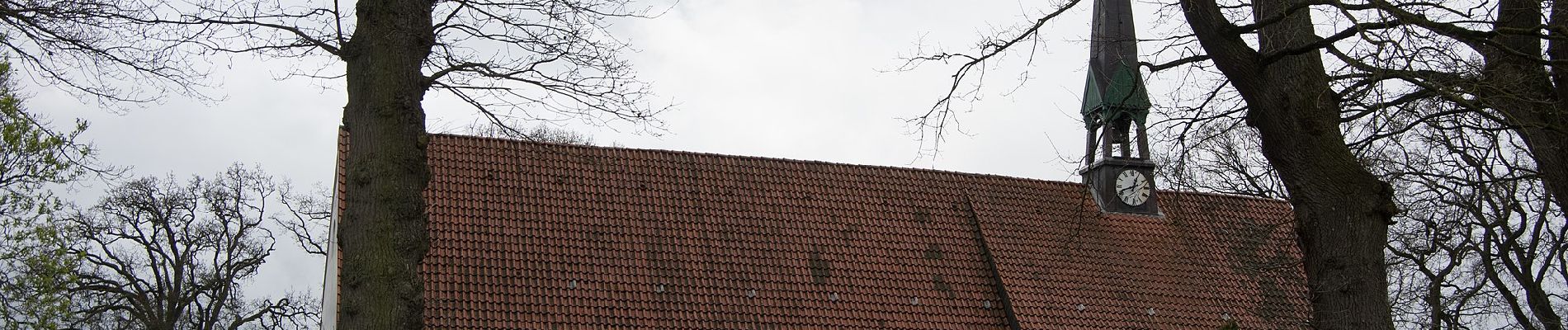 Tocht Te voet Ulsnis - Erholungsort Ulsnis: Rundweg Kirchenholz - Photo