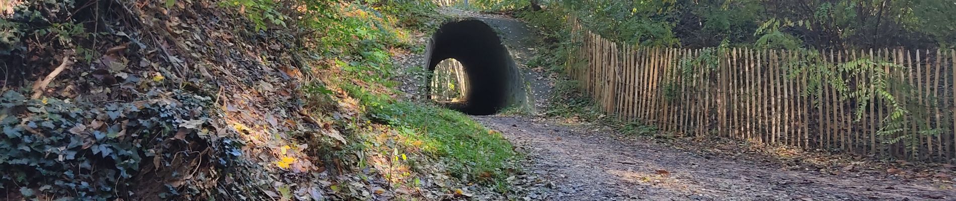 Percorso Marcia Palaiseau - Lozère - Photo