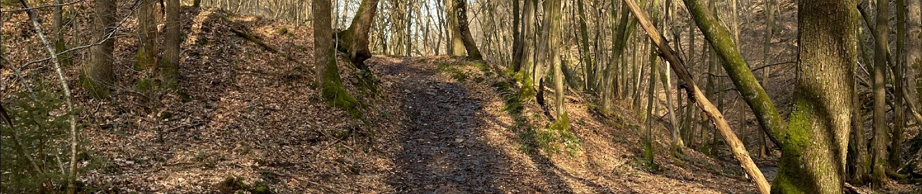 Tocht Stappen Pepinster - Les trois bois Tancrémont Gué de Becoen - Photo