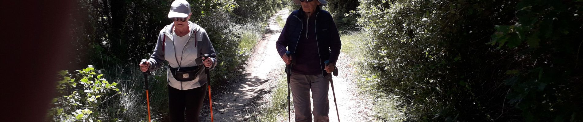 Tour Wandern Réauville - reau 08 06 20 - Photo