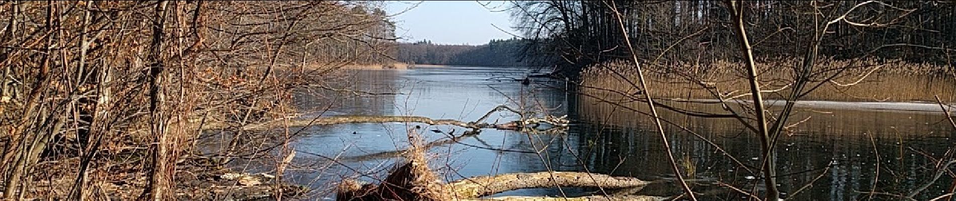 Excursión A pie Wandlitz - Rund um Hellsee Grüner Punkt - Photo