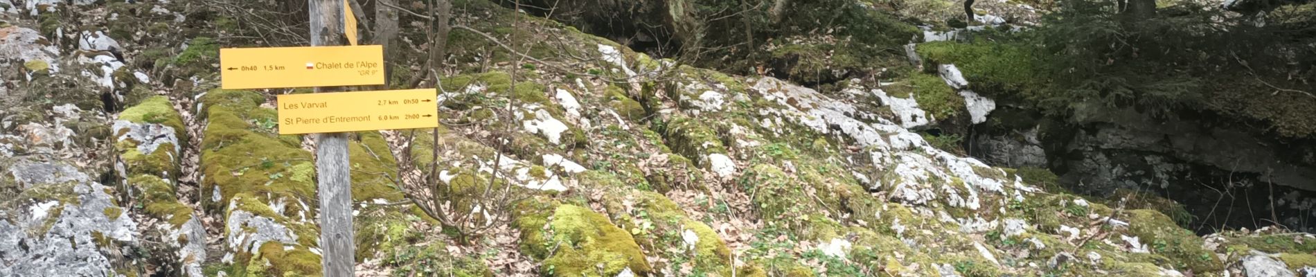 Trail Walking Saint-Pierre-d'Entremont - le Grand Manti au départ de Les Varlat en passant par L'Alpette de la Dame  - Photo