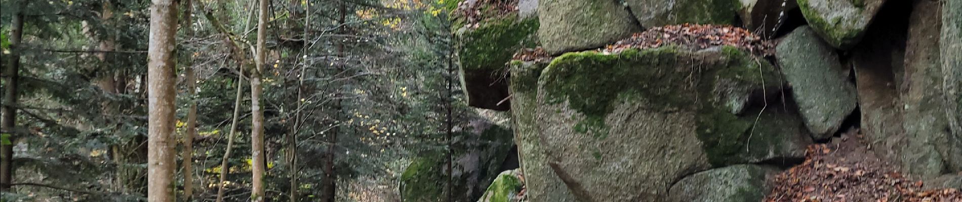 Tocht Stappen Royat - Oclede Montaudoux Artière_T - Photo