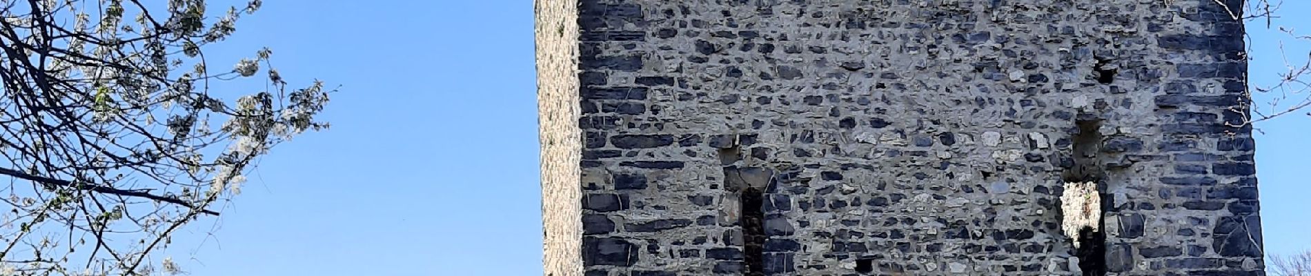 Tocht Stappen La Trinité - les Tours de Montmayeur  - Photo