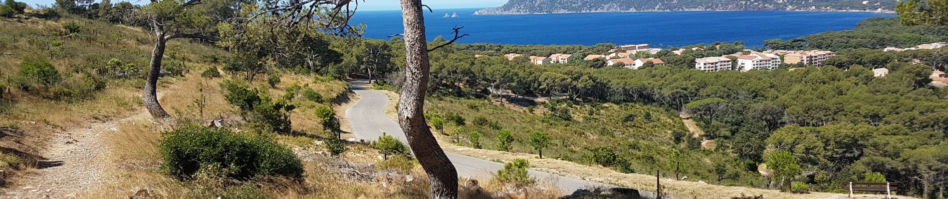 Tocht Stappen Saint-Mandrier-sur-Mer - Saint Mandrier - Photo