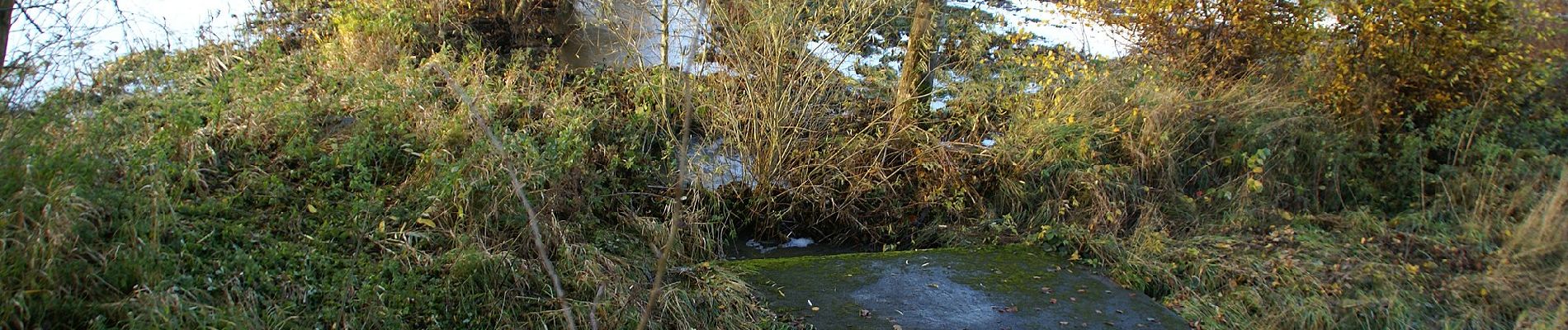 Tour Zu Fuß Wakendorf II - Rundtour durch Wakendorf Ⅱ zur Alsterniederung - Photo