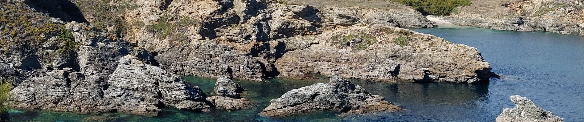 Excursión Senderismo Sauzon - POINTE DES POULAINS - Photo