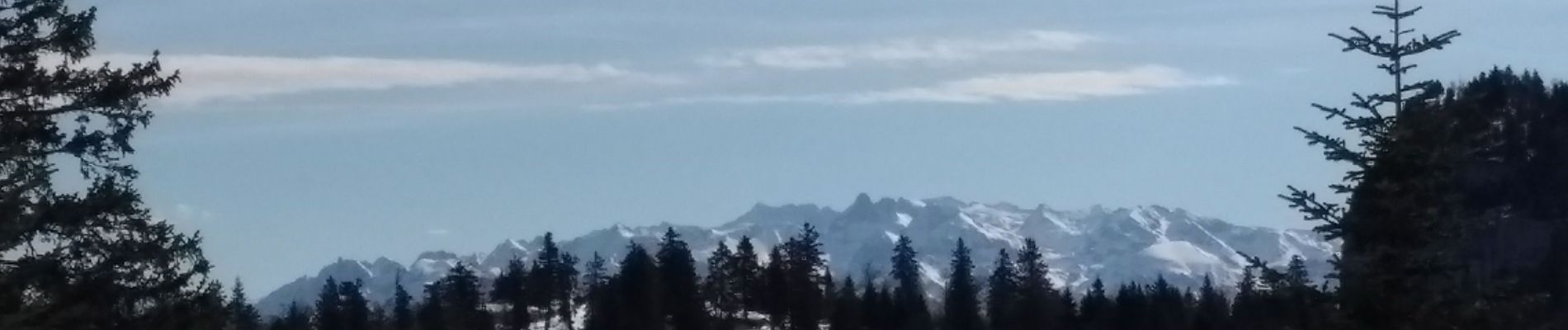 Randonnée Raquettes à neige Autrans-Méaudre en Vercors - 17-03-19  raquettes Autrans - Photo