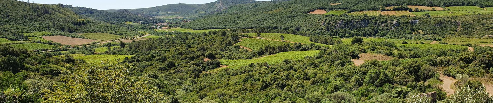 Tour Wandern Cabrières -  les crêtes de vissou - Photo