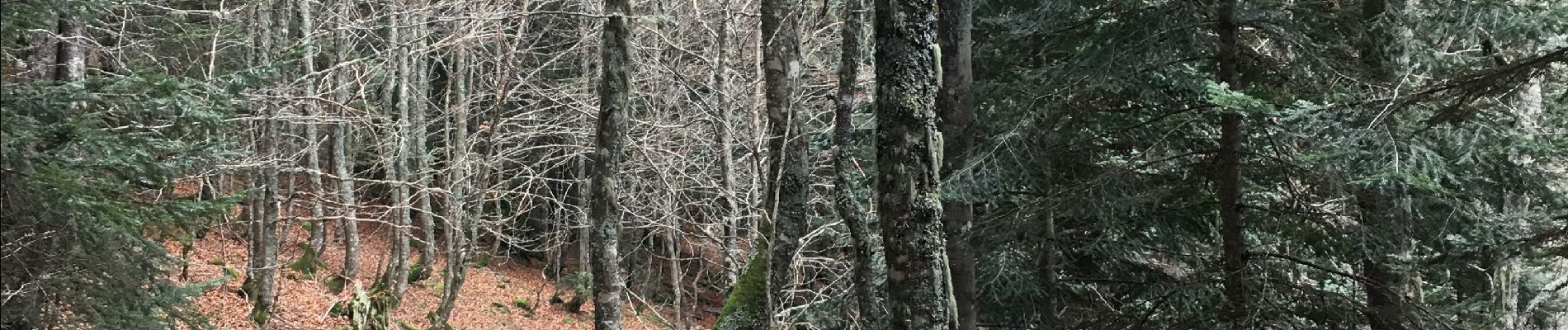 Tocht Stappen Laruns - Tour des lacs de Bious Artigues avec la neige - Photo